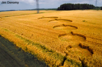 Crop circle