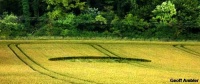 Crop circle