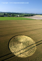 Crop circle