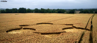 Crop circle