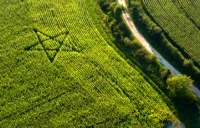 Crop circle