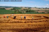 Crop circle