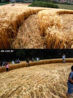 Crop circle