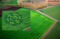 Crop circle