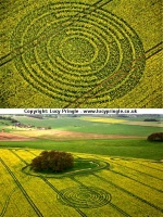 Crop circle