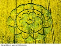 Crop circle