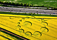 Crop circle