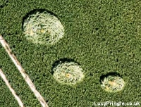 Crop circle