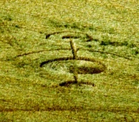 Crop circle