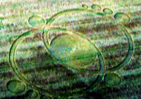 Crop circle