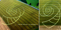 Crop circle