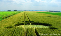 Crop circle