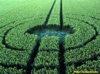 Crop circle