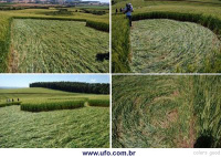 Crop circle