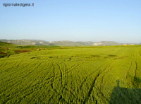 Crop circle