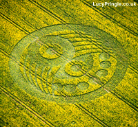 Crop circle