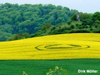 Crop circle