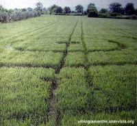 Crop circle