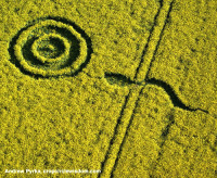 Crop circle