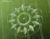 Crop circle