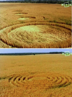 Crop circle