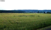 Crop circle