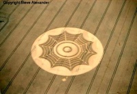 Crop circle