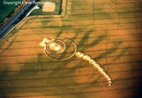 Crop circle