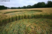 Crop circle