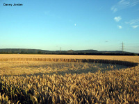 Crop circle