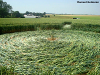 Crop circle