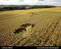 Crop circle