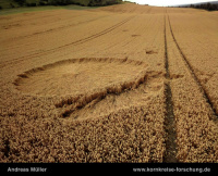 Crop circle