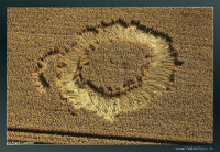 Crop circle