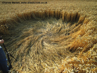 Crop circle