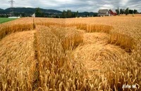 Crop circle