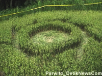 Crop circle