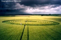 Crop circle
