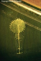 Crop circle