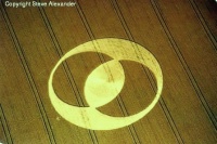 Crop circle