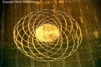 Crop circle