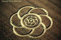 Crop circle