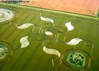 Crop circle