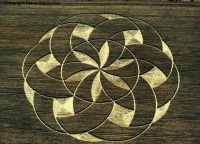 Crop circle