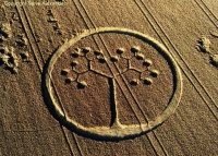 Crop circle