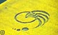 Crop circle