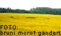 Crop circle