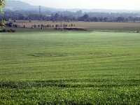 Crop circle