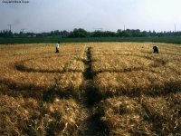 Crop circle