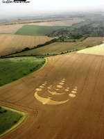 Crop circle